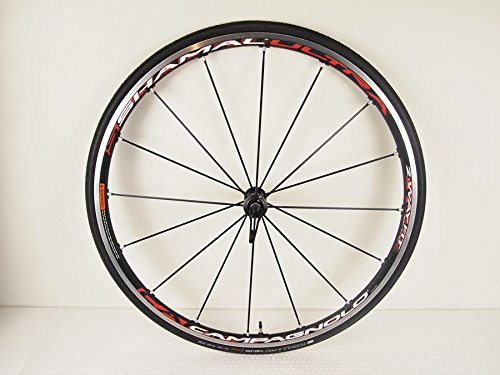 Amazon | Campagnolo(カンパニョーロ) SHAMAL ULTRA（シャマル